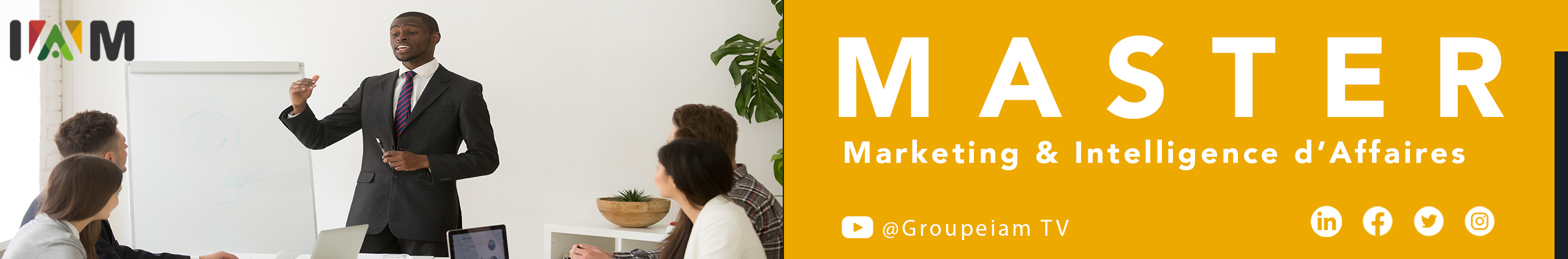 Master Marketing et Intelligence daffaires Master Marketing et Intelligence daffaires